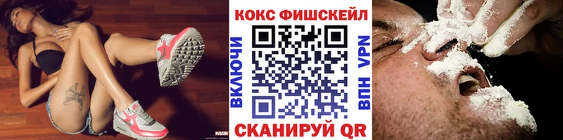 дарнет шоп  Гороховец  COCAIN Fish Scale 