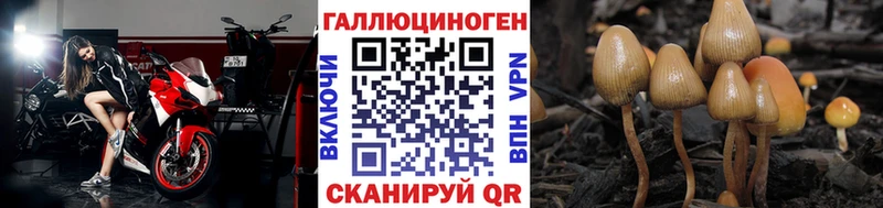 маркетплейс наркотические препараты  Гороховец  Псилоцибиновые грибы Psilocybine cubensis  наркота 